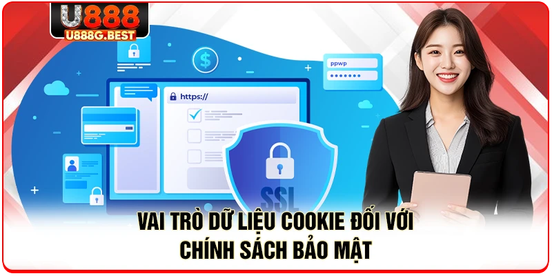 Vai trò dữ liệu cookie đối với chính sách bảo mật